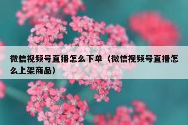 微信视频号直播怎么下单（微信视频号直播怎么上架商品） 第1张