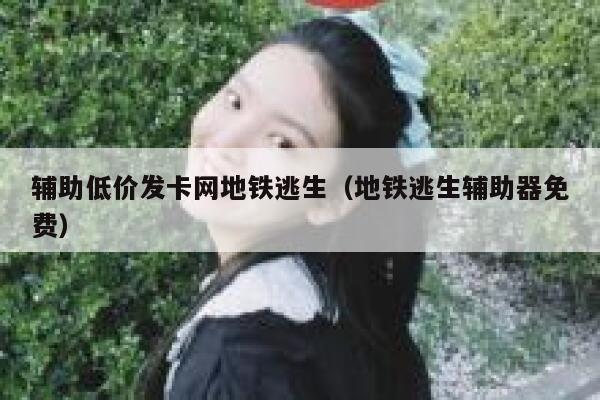 辅助低价发卡网地铁逃生(地铁逃生辅助器免费) 第1张 辅助低价发卡网地铁逃生(地铁逃生辅助器免费) 第1张