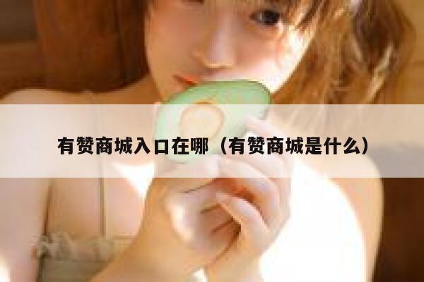 有赞商城入口在哪（有赞商城是什么） 第1张