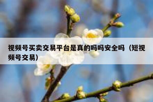 视频号买卖交易平台是真的吗吗安全吗（短视频号交易） 第1张