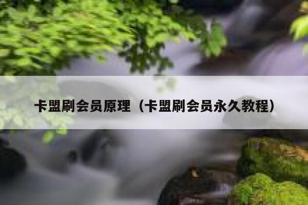 卡盟刷会员原理（卡盟刷会员永久教程） 第1张