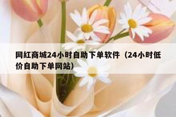 网红商城24小时自助下单软件（24小时低价自助下单网站） 第1张