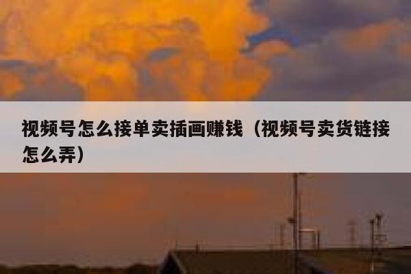 视频号怎么接单卖插画赚钱（视频号卖货链接怎么弄） 第1张