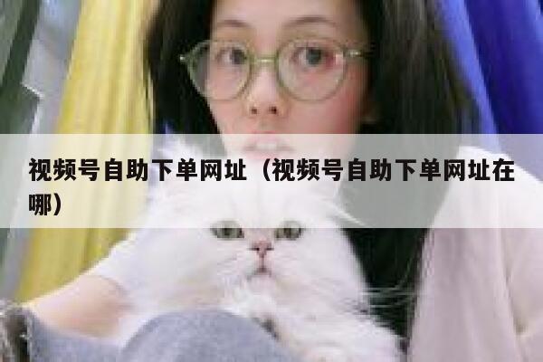 视频号自助下单网址（视频号自助下单网址在哪） 第1张