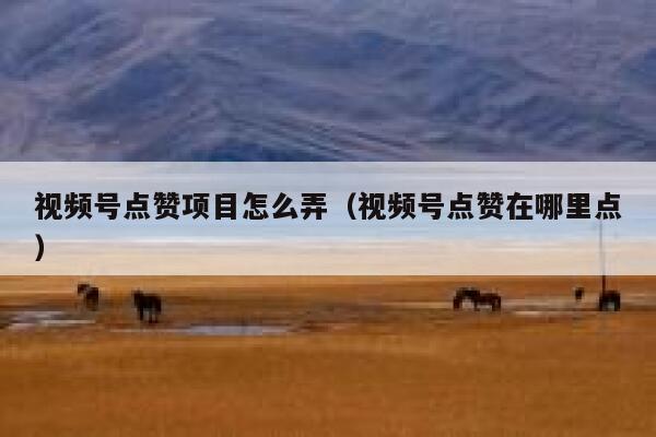 视频号点赞项目怎么弄（视频号点赞在哪里点） 第1张