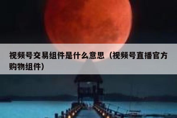 视频号交易组件是什么意思（视频号直播官方购物组件） 第1张