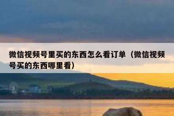 微信视频号里买的东西怎么看订单（微信视频号买的东西哪里看） 第1张