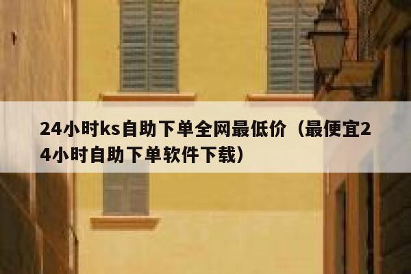24小时ks自助下单全网最低价（最便宜24小时自助下单软件下载） 第1张
