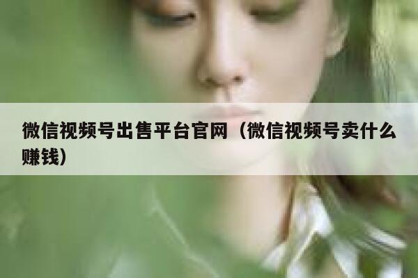 微信视频号出售平台官网（微信视频号卖什么赚钱） 第1张