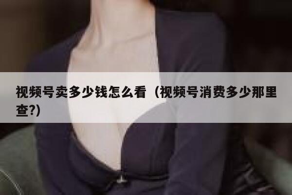 视频号卖多少钱怎么看（视频号消费多少那里查?） 第1张