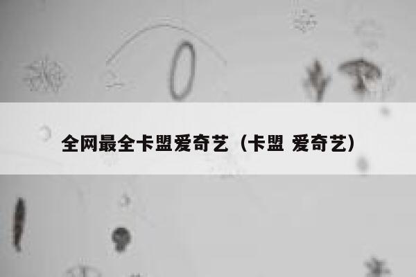 全网最全卡盟爱奇艺（卡盟 爱奇艺） 第1张