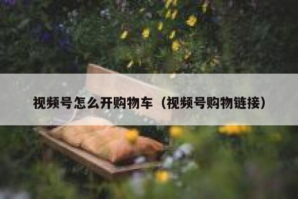 视频号怎么开购物车（视频号购物链接） 第1张