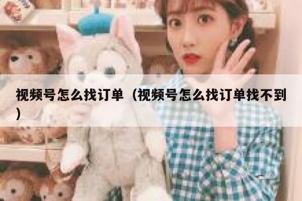 视频号怎么找订单（视频号怎么找订单找不到） 第1张