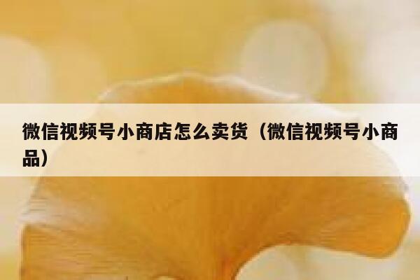 微信视频号小商店怎么卖货（微信视频号小商品） 第1张