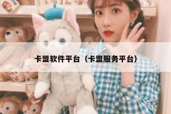 卡盟软件平台（卡盟服务平台） 第1张