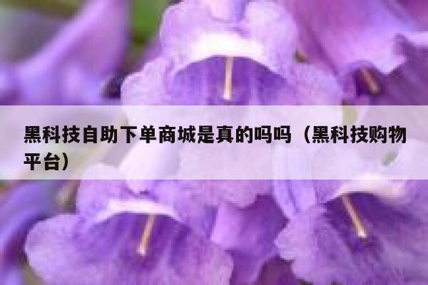 黑科技自助下单商城是真的吗吗（黑科技购物平台） 第1张