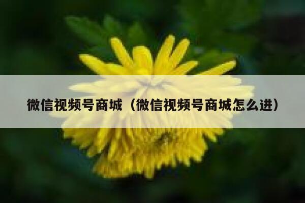 微信视频号商城（微信视频号商城怎么进） 第1张