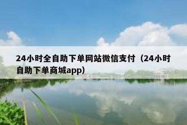 24小时全自助下单网站微信支付（24小时自助下单商城app） 第1张