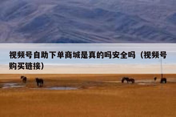视频号自助下单商城是真的吗安全吗（视频号购买链接） 第1张