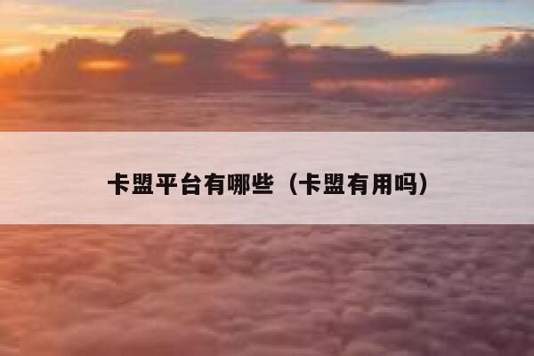 卡盟平台有哪些（卡盟有用吗） 第1张