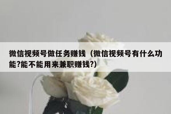 微信视频号做任务赚钱（微信视频号有什么功能?能不能用来兼职赚钱?） 第1张