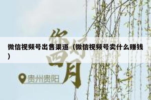 微信视频号出售渠道（微信视频号卖什么赚钱） 第1张