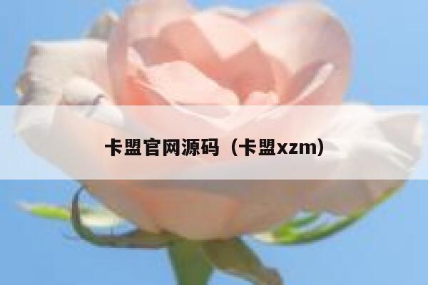 卡盟官网源码（卡盟xzm） 第1张
