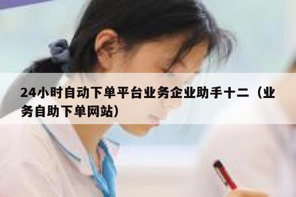 24小时自动下单平台业务企业助手十二(业务自助下单网站) 第1张 24小时自动下单平台业务企业助手十二(业务自助下单网站) 第1张