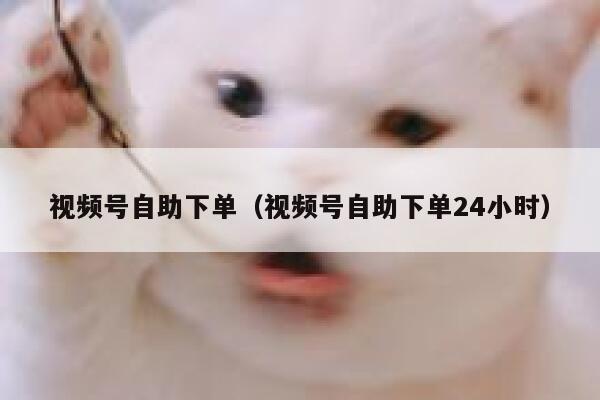 视频号自助下单（视频号自助下单24小时） 第1张
