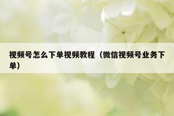 视频号怎么下单视频教程（微信视频号业务下单） 第1张