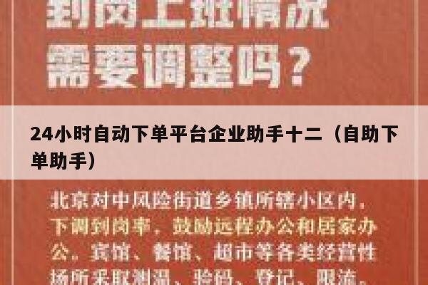 24小时自动下单平台企业助手十二（自助下单助手） 第1张
