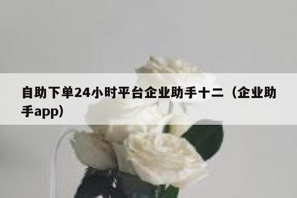 自助下单24小时平台企业助手十二（企业助手app） 第1张