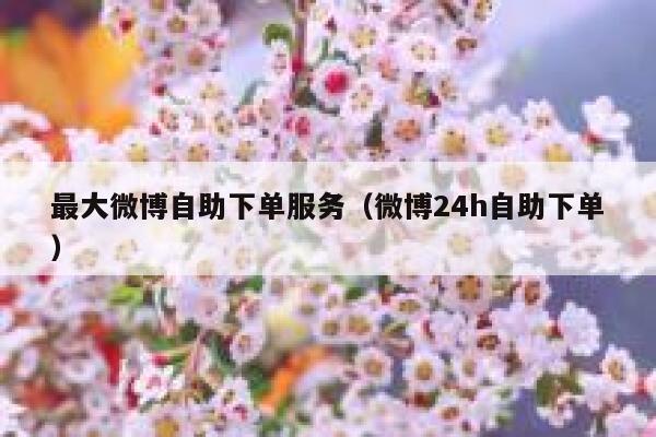 最大微博自助下单服务(微博24h自助下单) 第1张 最大微博自助下单服务(微博24h自助下单) 第1张