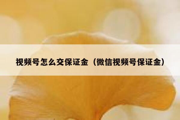 视频号怎么交保证金（微信视频号保证金） 第1张