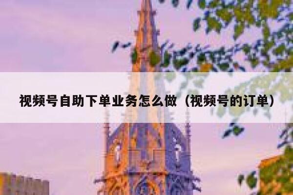视频号自助下单业务怎么做（视频号的订单） 第1张