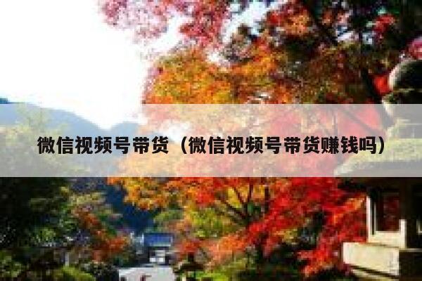 微信视频号带货（微信视频号带货赚钱吗） 第1张