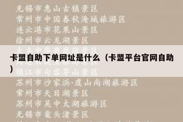 卡盟自助下单网址是什么（卡盟平台官网自助） 第1张