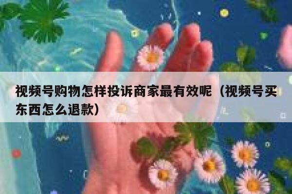 视频号购物怎样投诉商家最有效呢（视频号买东西怎么退款） 第1张