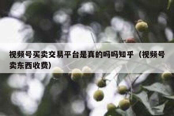 视频号买卖交易平台是真的吗吗知乎（视频号卖东西收费） 第1张