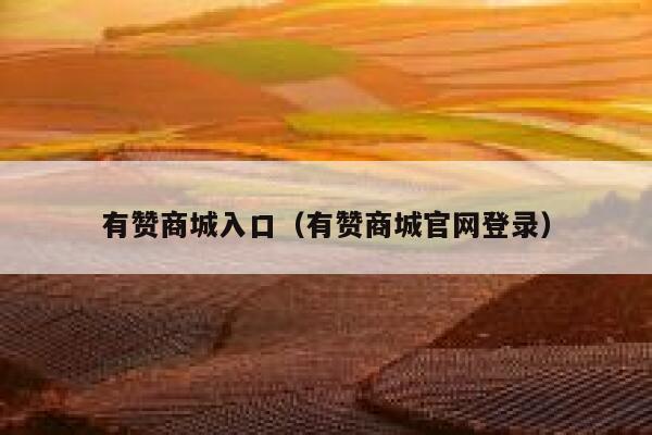 有赞商城入口（有赞商城官网登录） 第1张