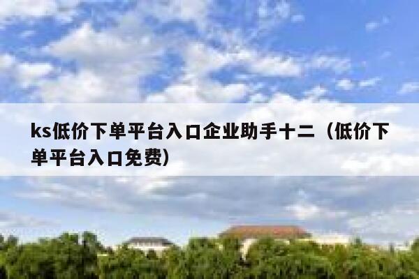 ks低价下单平台入口企业助手十二（低价下单平台入口免费） 第1张