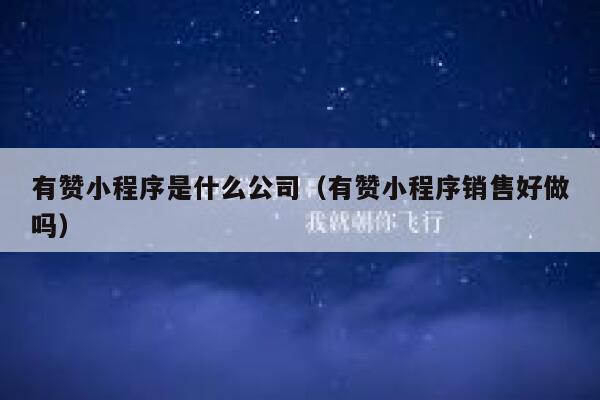 有赞小程序是什么公司（有赞小程序销售好做吗） 第1张