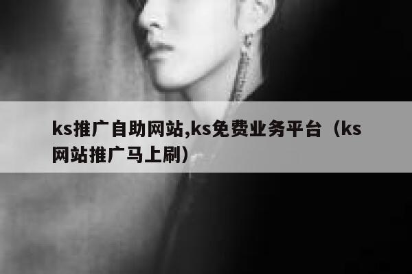 ks推广自助网站,ks免费业务平台（ks网站推广马上刷） 第1张