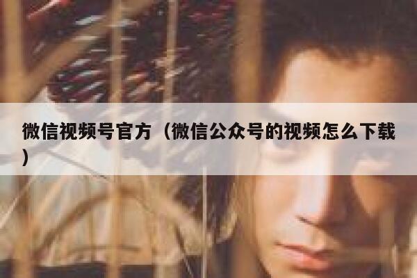 微信视频号官方（微信公众号的视频怎么下载） 第1张