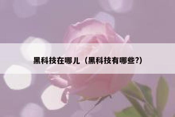 黑科技在哪儿(黑科技有哪些?) 第1张 黑科技在哪儿(黑科技有哪些?) 第1张
