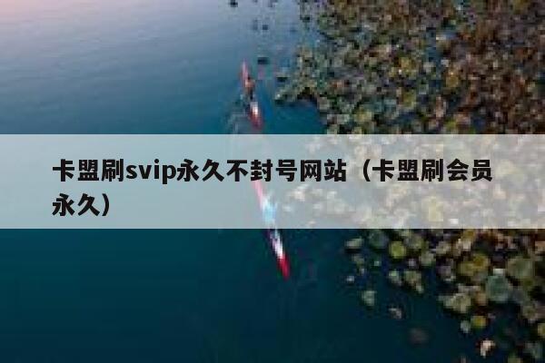 卡盟刷svip永久不封号网站(卡盟刷会员永久) 第1张 卡盟刷svip永久不封号网站(卡盟刷会员永久) 第1张