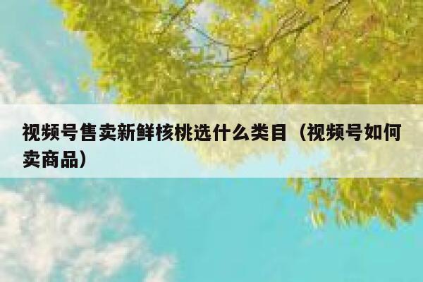 视频号售卖新鲜核桃选什么类目(视频号如何卖商品) 第1张 视频号售卖新鲜核桃选什么类目(视频号如何卖商品) 第1张