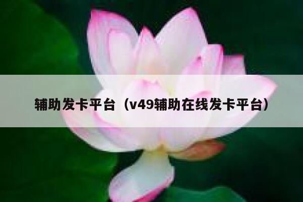 辅助发卡平台（v49辅助在线发卡平台） 第1张