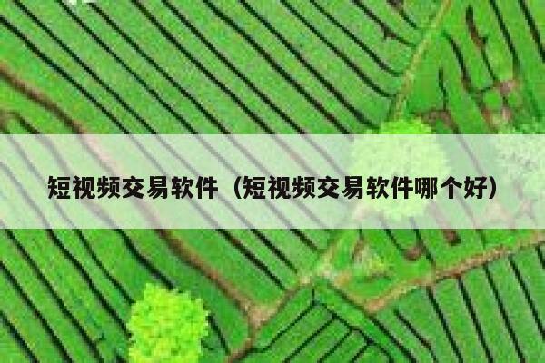 短视频交易软件（短视频交易软件哪个好） 第1张