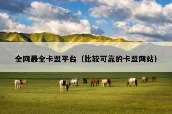 全网最全卡盟平台(比较可靠的卡盟网站) 第1张 全网最全卡盟平台(比较可靠的卡盟网站) 第1张